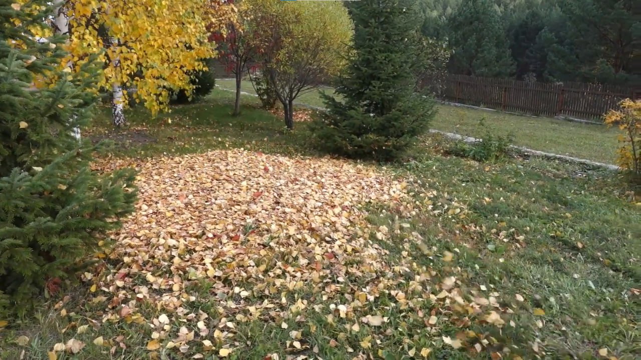 https://votkinsk.mslandshaft.ru/storage/app/uploads/public/642/ac5/f22/642ac5f2293e2935715739.jpg